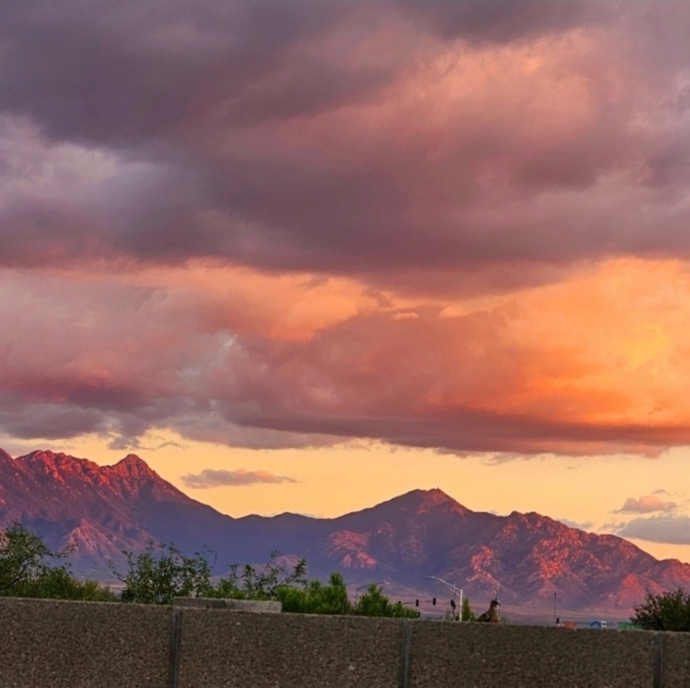 🌵💎LIVE LISTING 🌵💎 - Picture 8 of 9